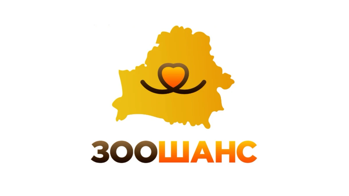 Партнеры - яхтенной школы "VIOSAIL"